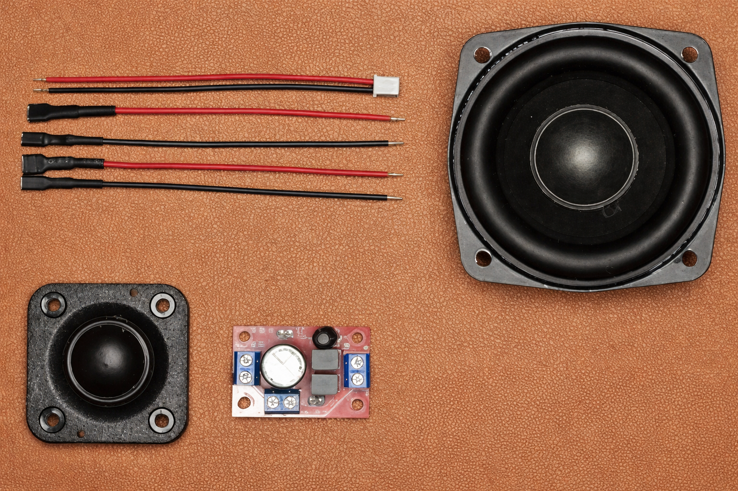 20W Speaker Electronics Kit (DIY)