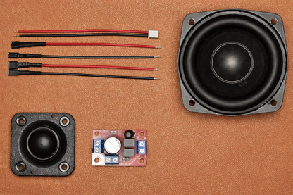 20W Speaker Electronics Kit (DIY)